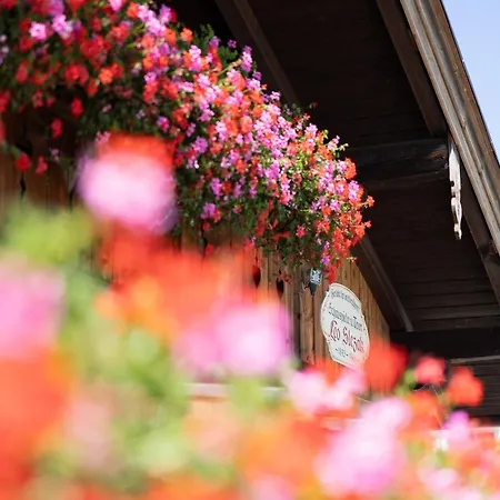 Hotel Seehotel Malerwinkel Rottach-Egern